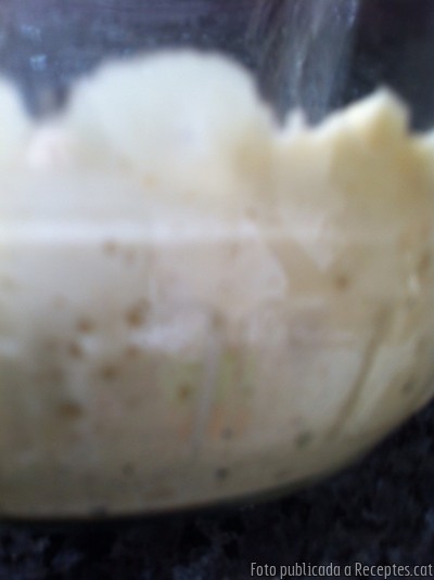 Ferment mare per fer pa